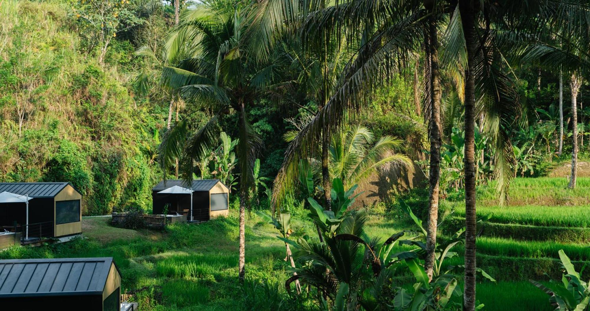 Bobocabin Ubud, Bali エクステリア 写真